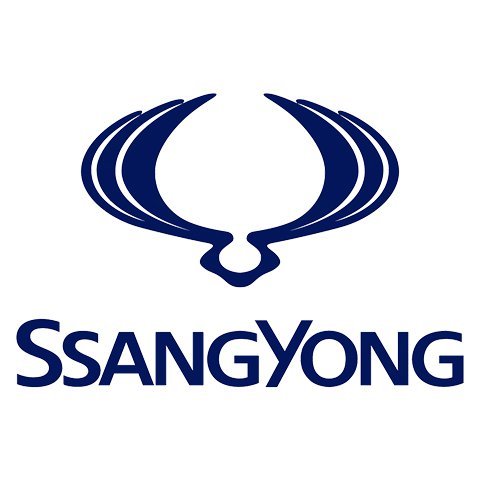 ssangyong_w_1x